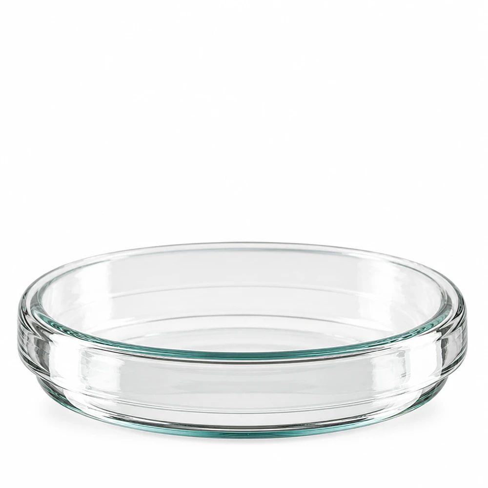 Boîte de Pétri transparente en verre borosilicaté, 80 mm de diamètre, 15 mm de hauteur