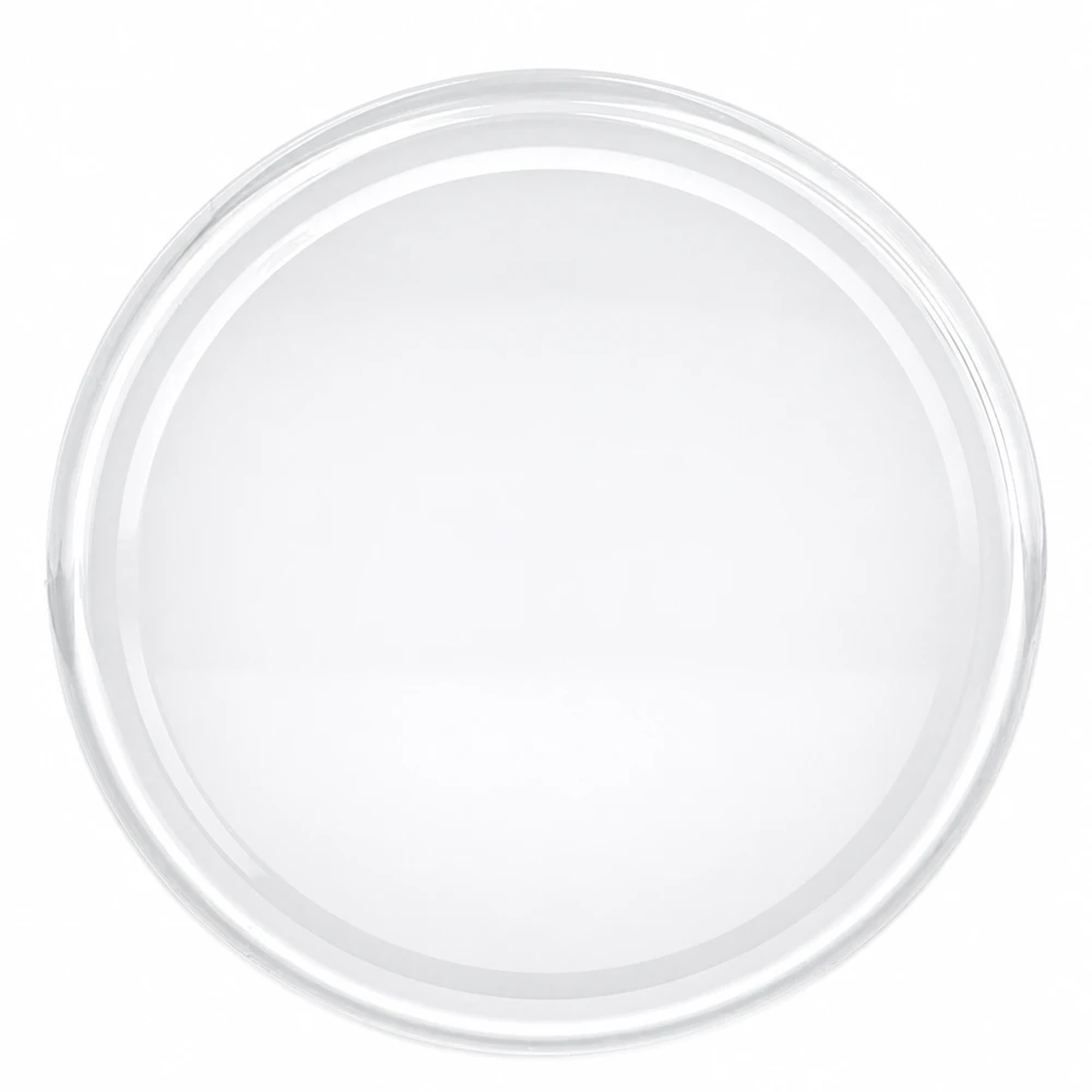 82mm BasicSeal bouchon blanc (TO82) UNiTWIST Couvercle blanc rond à visser « Twist-Off » 82 mm BasicSeal TO82 pour bocaux à confiture