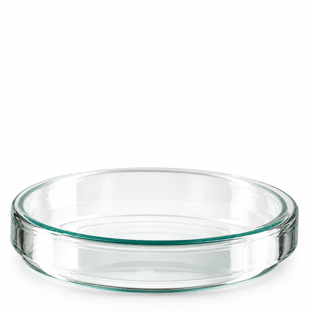 Boîte de Pétri en verre borosilicaté, 100 mm de diamètre, 20 mm de hauteur, transparente
