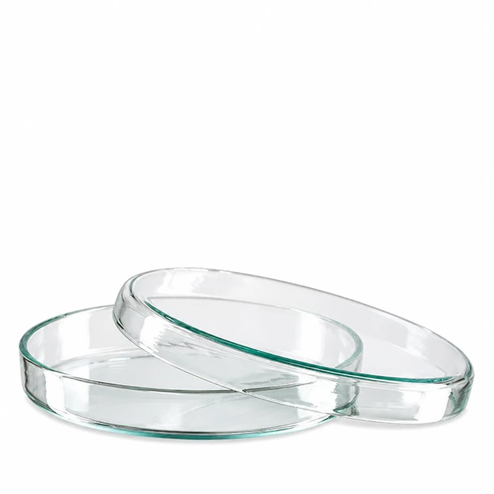 Boîtes de Pétri rondes en verre, diamètre 90 mm, hauteur 15 mm, transparentes, pour laboratoire et microbiologie