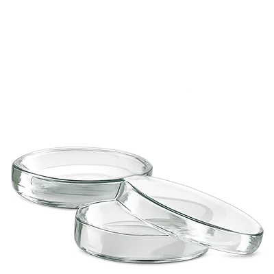 Boîtes de Petri (verre)