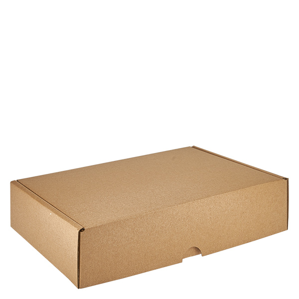 Cartons pour verres (25 pcs) avec 6 compartiments 240x155x53mm