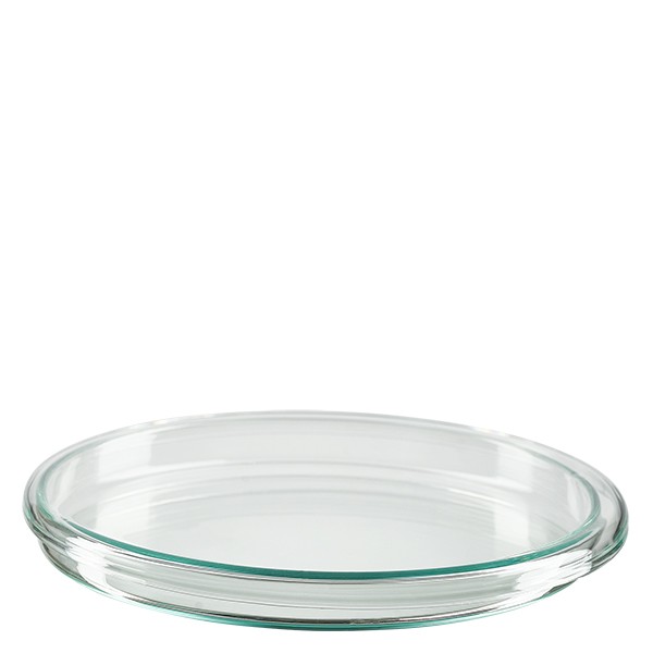 Boîte de Petri en verre 100x10 mm Boîte de Petri en verre 100x10 mm