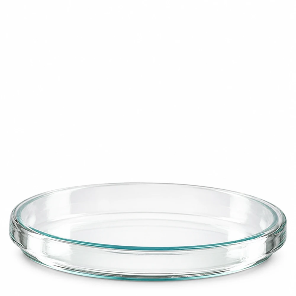 Boîte de Pétri ronde et transparente en verre, à fond plat et à bords bas, 100 x 15 mm