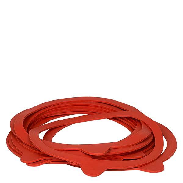 10x anneau d'étanchéité WECK RR100