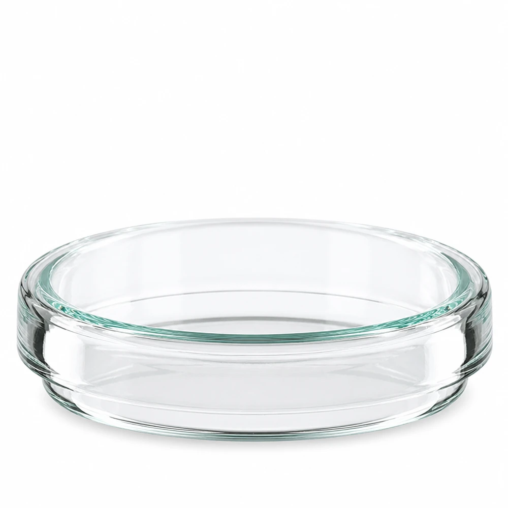 Boîte de Pétri en verre 60x15 mm Boîte de Pétri ronde en verre borosilicaté, 60 mm de diamètre, 15 mm de hauteur, vue de profil