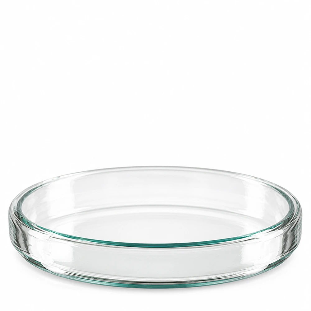 Boîtes de Pétri en verre vides, rondes, de 90 mm de diamètre et 15 mm de hauteur, sur fond blanc