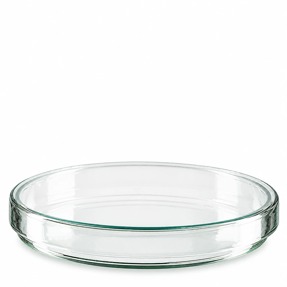 Boîte de Pétri transparente en verre borosilicaté à bord plat, diamètre 120 mm