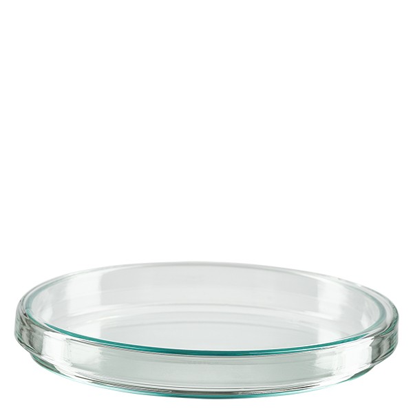 Boîte de Petri en verre 100 x 15 mm