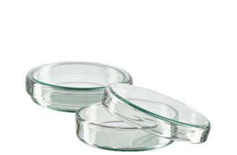 Boîtes de Petri (verre)