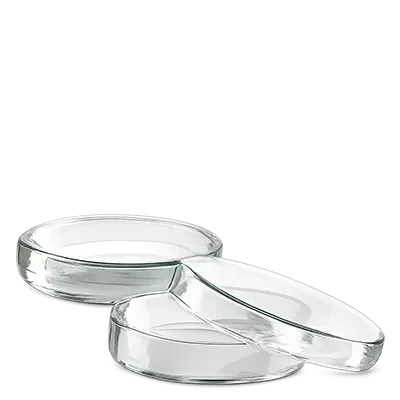 Boîtes de Petri (verre)